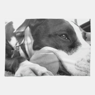 süß aussehender trauriger Pitbull-Hund schwarz wei Geschirrtuch