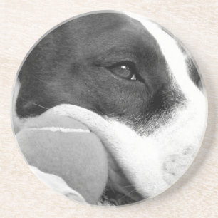 süß aussehender trauriger Pitbull-Hund schwarz wei Getränkeuntersetzer