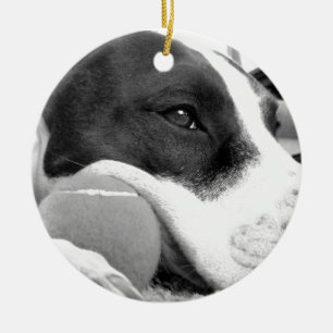 süß aussehender trauriger Pitbull-Hund schwarz wei Keramik Ornament