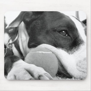 süß aussehender trauriger Pitbull-Hund schwarz wei Mousepad