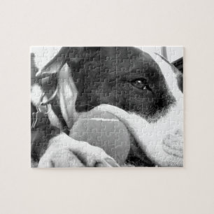 süß aussehender trauriger Pitbull-Hund schwarz wei Puzzle
