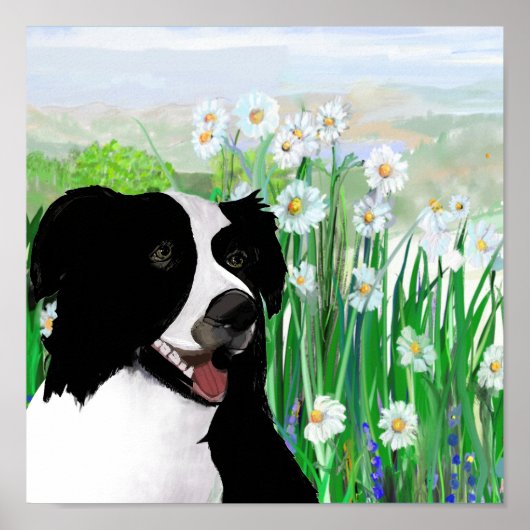 Süß, Border Collie Gänseblümchen Wandkunst Poster (Vorne)