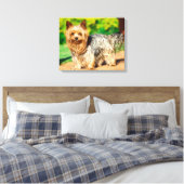 Süß Leinwanddruck (Insitu (Schlafzimmer))