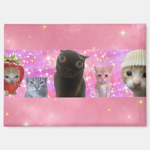 süß lustig ätherisches Meme-Kitty funkelndes Magne Magnet