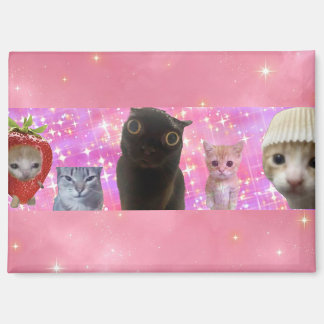 süß lustig ätherisches Meme-Kitty funkelndes Magne Magnet