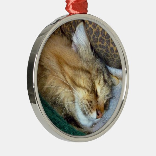 süß träumend silbernes ornament (Rechts)