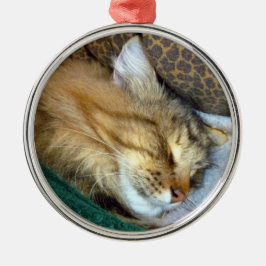 süß träumend silbernes ornament