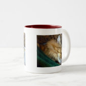 süß träumend zweifarbige tasse (VorderseiteRechts)