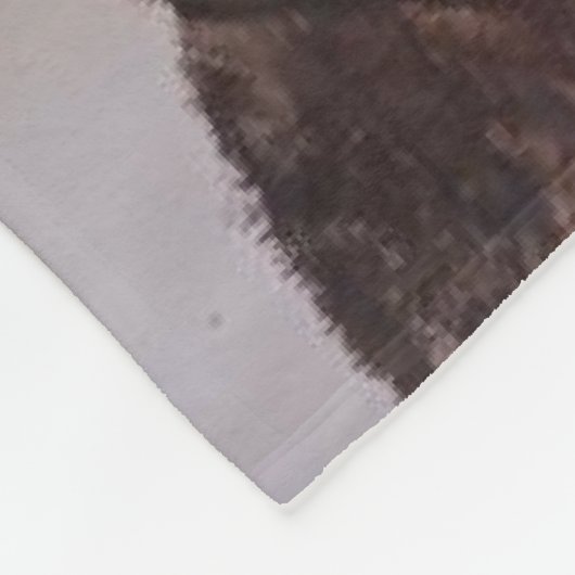 süßbrauner Labrador, schneebekleidet Fleecedecke (Ecke)