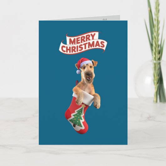 Süße Airedale-Weihnachtskarte Feiertagskarte (Vorderseite)