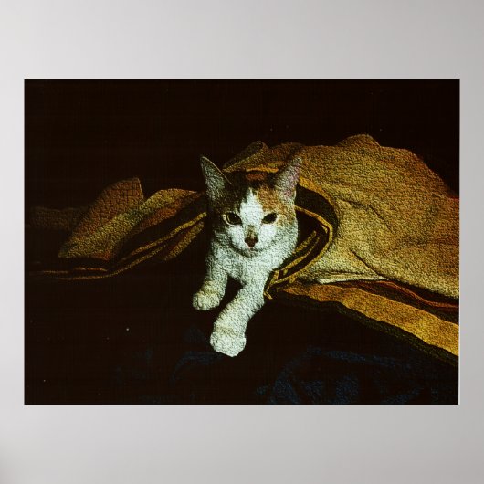 Süße als Kätzchen Poster (Vorne)