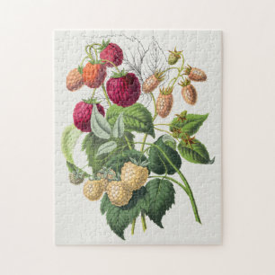 Süße alte Erdbeere botanisch floral Puzzle