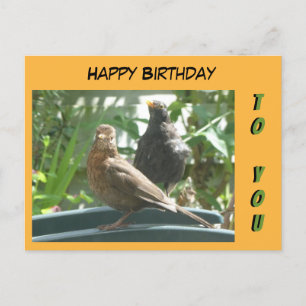 Süße Amsel Paar Happy Birthday Kundenkarte Postkarte