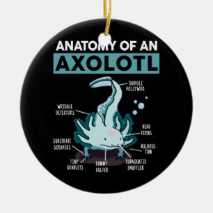 Süße Anatomie eines Axolotl-Salamanders Keramik Ornament