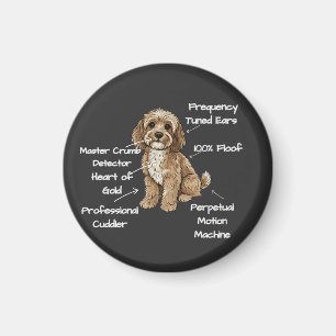 Süße Anatomie eines Cockapoo-Hundefreundes Geschen Magnet