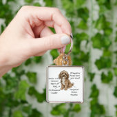 Süße Anatomie eines Cockapoo-Hundefreundes Geschen Schlüsselanhänger (Hand)