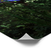 Süsse Anime Kitten Wasserfälle 1 Poster (Ecke)