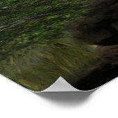 Süsse Anime Kitten Wasserfälle Moon 3 Poster (Ecke)