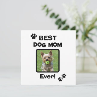 Süße Anpassung beste Haustier Hund Katze Mama Mutt