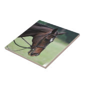 Süße arabische Pferdefliese Fliese (Seite)