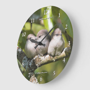 Süße Baby-Schwanzmeisen-Singvögel in dem Birnbaum Große Wanduhr