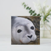 Süße Baby-Siegel-Einladungen Einladung (Stehend Vorderseite)