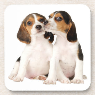 Süße Beagle-Mutter-Hundliebhaber-Welpen-Vater-Welp Getränkeuntersetzer