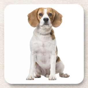 Süße Beagle-Mutter-Hundliebhaber-Welpen-Vater-Welp Getränkeuntersetzer