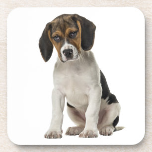 Süße Beagle-Mutter-Hundliebhaber-Welpen-Vater-Welp Getränkeuntersetzer