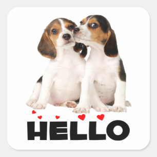 Süße Beagle-Welpenliebe Hallo Ich denke an dich Quadratischer Aufkleber