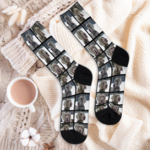 Süße benutzerdefinierte 4-Hunde-Foto-Collage-Gitte Socken