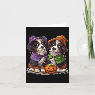 Süße Berner Sennenhunde Hexe Kürbis Halloween Karte