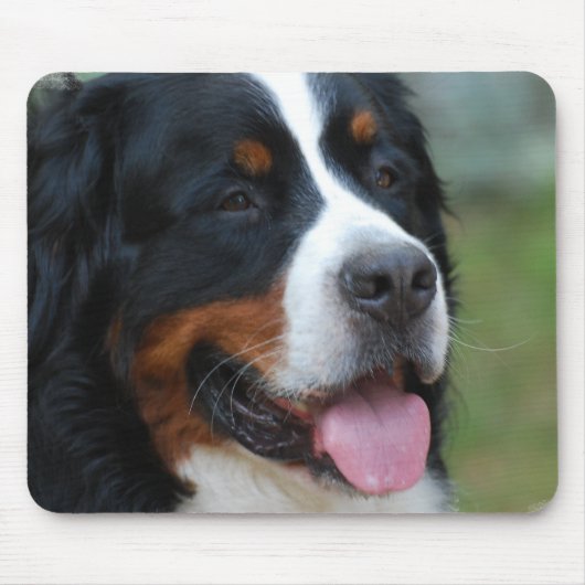 Süße Bernese Mausunterlage Mousepad (Vorne)