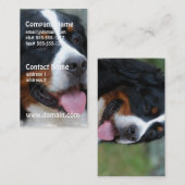Süße Bernese Visitenkarten Visitenkarte (Vorne/Hinten)