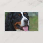 Süße Bernese Visitenkarten Visitenkarte (Rückseite)