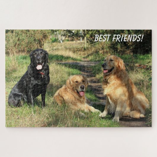 Süße beste Freundeshunde Puzzle (Horizontal)