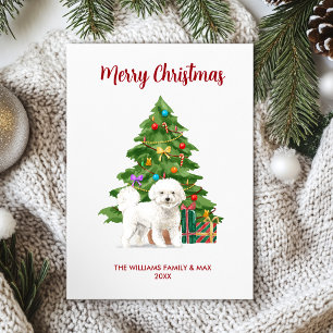 Süße Bichon Frise-Hund Familie Weihnachten
