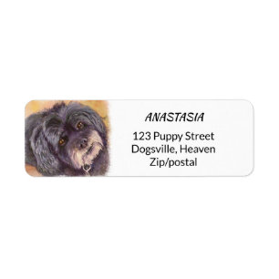 SÜSSE BLACK COCK-A-POO MIX