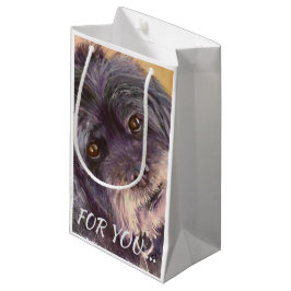 SÜSSE BLACK COCK-A-POO MIX KLEINE GESCHENKTÜTE