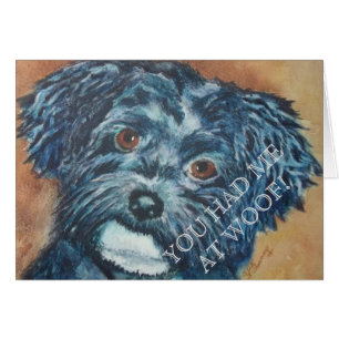 SÜSSE BLACK HAVANESE