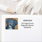 SÜSSE BLACK HAVANESE (Insitu)