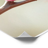 Süße Blaumeise auf blühendem Apfelbaum im Frühling Poster (Ecke)