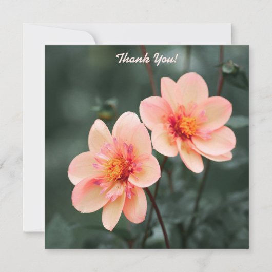 Süße Blumen Grüner Hintergrund Danke Mitteilungskarte (Vorderseite)