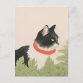 Süße Boho-Katze Postkarte (Vorderseite)