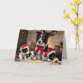 Süße Border Collie Weihnachtsplätzchen Karte (Gelbe Blume)