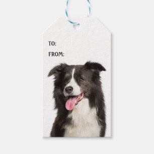 Süße Border Collie Welpen Hundeliebhaber Schwarz W Geschenkanhänger