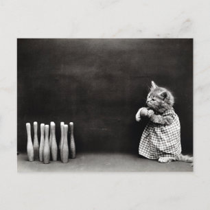 Süße Bowling-Kätzchen im Vintage-Stil Postkarte