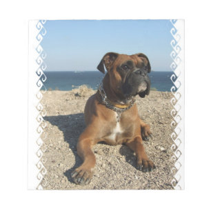 Süße Boxer-Hund-Notizblock Notizblock