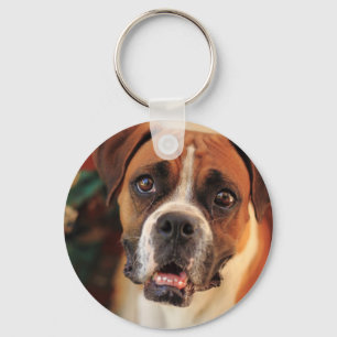 Süße Boxer Schlüsselanhänger