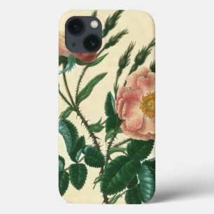 Süße Briar-Rose Case-Mate iPhone Hülle